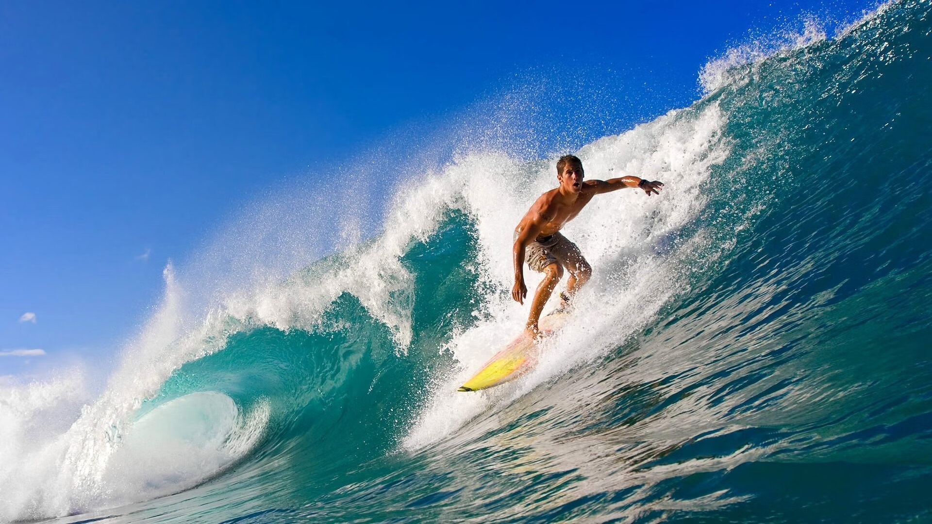 开云体育在线登入-圣基茨和尼维斯开设青少年运动体验营,圣基茨和尼维斯在哪里
